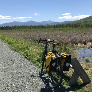 Fundraising Page: Marty Basch